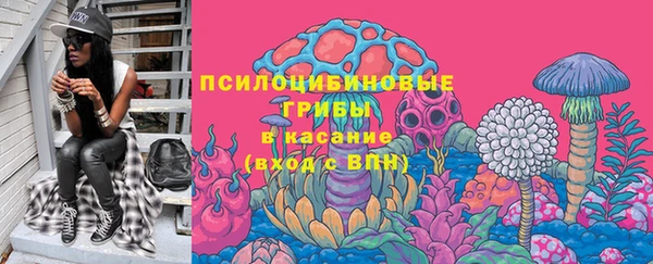 прущие крисы Абаза
