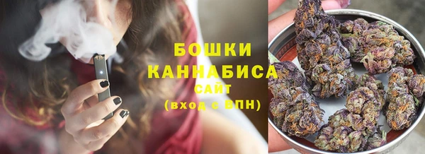 сатива Вязники
