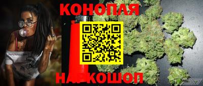 стаф Аргун