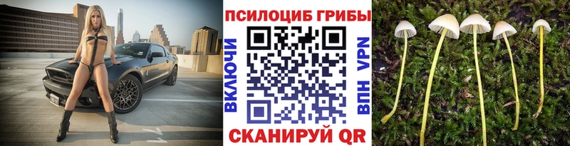 Галлюциногенные грибы мухоморы  Барнаул 